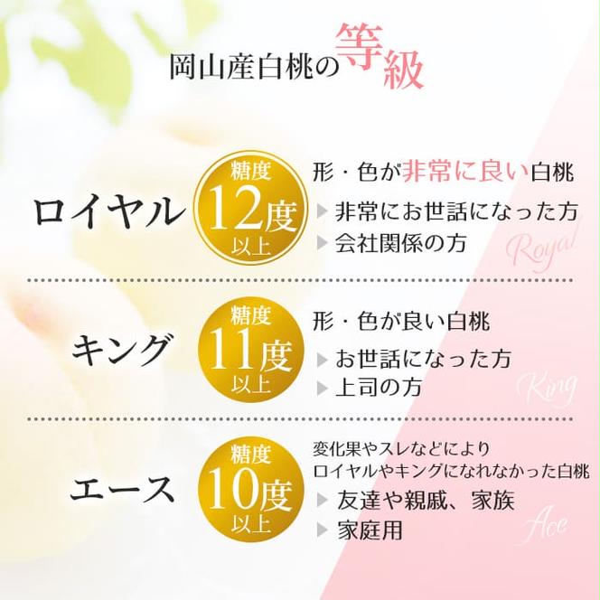 桃 2025年 先行予約 岡山 白桃 キング・エース 約4kg 8～15玉入り もも モモ 岡山県産 国産 フルーツ 果物 ギフト 橋田商店