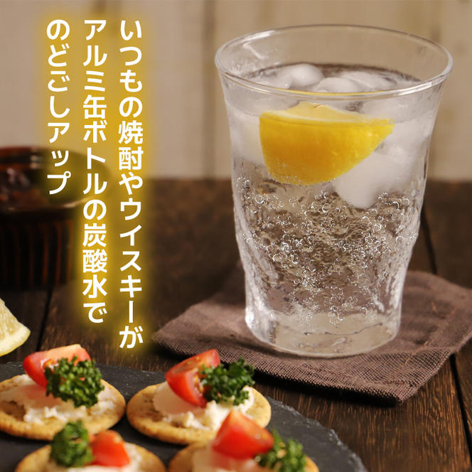 【最速10日以内発送】 炭酸水 缶 500ml×24本 ボトル缶 