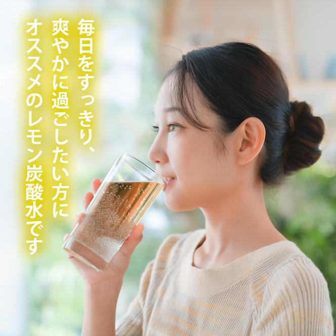 炭酸水 定期便 隔月 6回 レモン 500ml×24本 ソーダ 瀬戸内産 レモンエキス