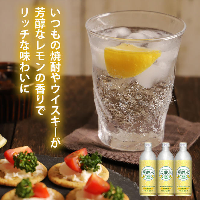 炭酸水 定期便 毎月 12回 レモン 500ml×24本 ソーダ 瀬戸内産 レモンエキス