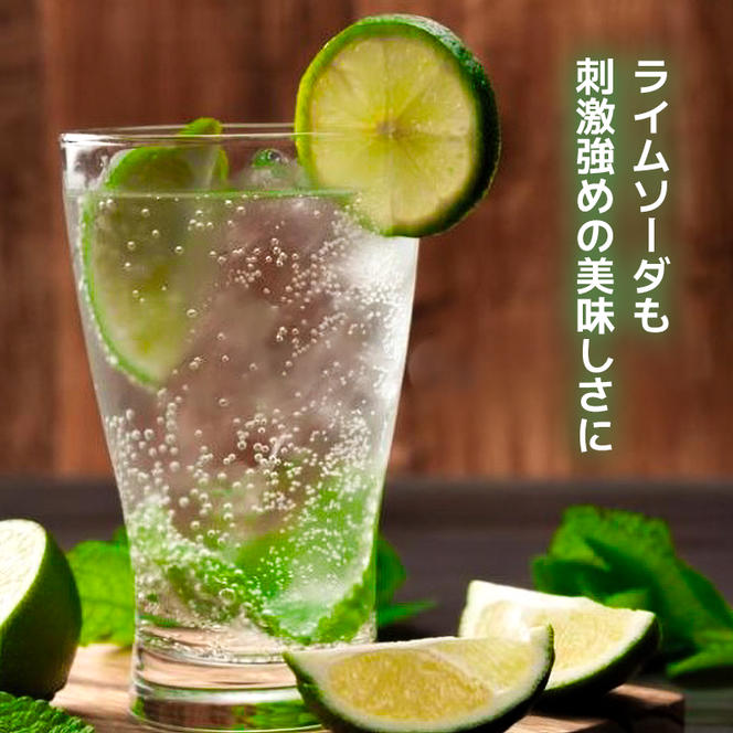 炭酸水 定期便 毎月 12回 500ml×24本 ソーダ