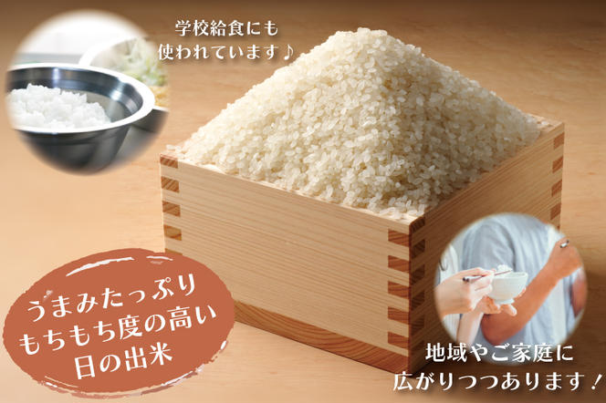 米 3kg 低農薬米 大洗 日の出米 コシヒカリ 令和6年産 特別栽培米 コメ こめ 送料無料