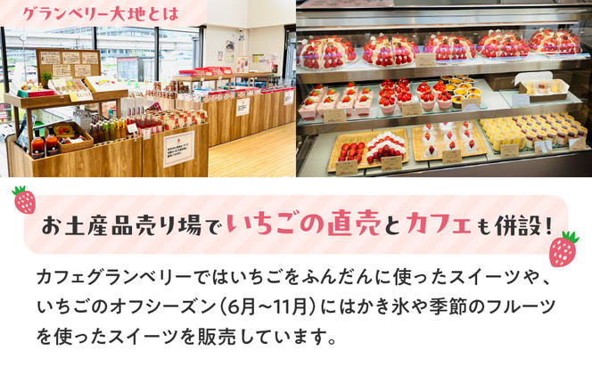 【数量限定】グランベリー大地のいちご2品種食べ比べセット 350g×2トレー ※2025年12月中旬～2026年3月下旬頃に順次発送予定
