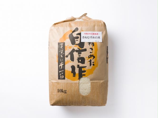 【きぬむすめ】令和６年産 白米20kg（10kg×2袋）(50-32)
