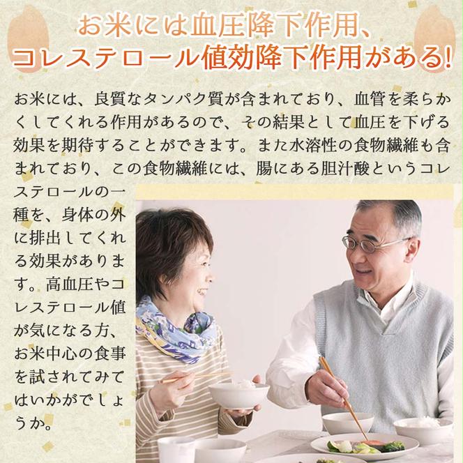 【きぬむすめ】令和６年産 白米20kg（10kg×2袋）(50-32)