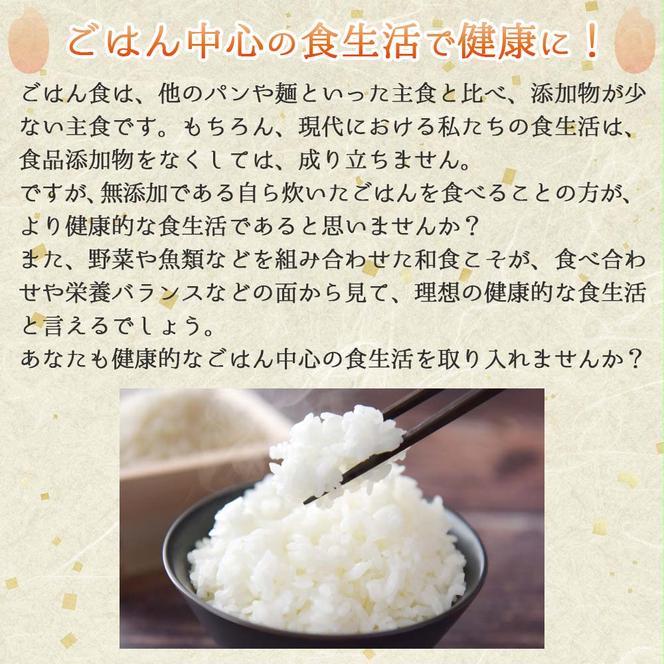 【きぬむすめ】令和６年産 白米20kg（10kg×2袋）(50-32)