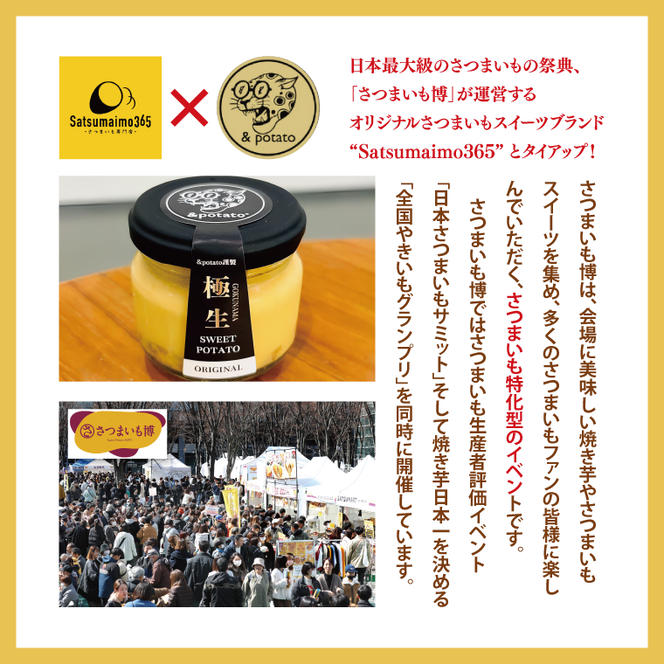 【Satsumaimo365】【さつまいも博】極生スイートポテト〜ブリュレ仕立て〜 3個セット(化粧箱入り)(YB-2)