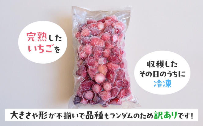 【訳あり】冷凍いちご　2kg