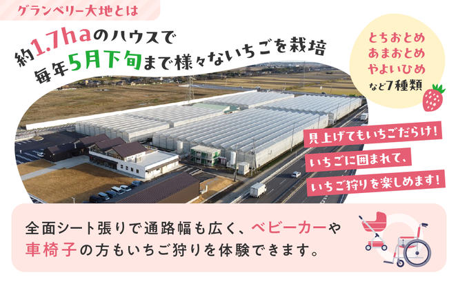 【訳あり】冷凍いちご　2kg