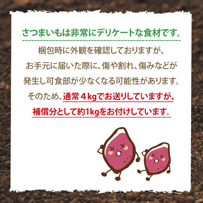 【10月中旬～11月末までの発送品！】【自然栽培】紅はるか 生さつまいも(4kg+約25%補償分)　計 約5kg 【サツマイモ 芋 いも べにはるか 自然栽培 新鮮 オーガニック 焼き芋 煮物 天ぷら スイートポテト 鹿嶋市 茨城県】（KAG-39）