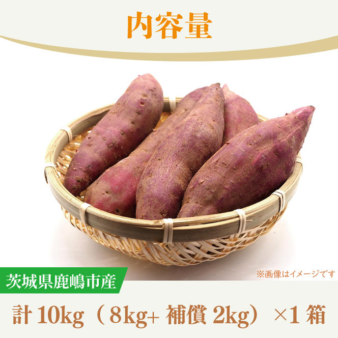 【10月中旬～11月末までの発送品！】【普通栽培】紅はるか 生さつまいも(8kg+約25%補償分)　計 約10kg【サツマイモ 芋 いも べにはるか 自然栽培 新鮮 焼き芋 煮物 天ぷら スイートポテト 鹿嶋市 茨城県】（KAG-42）
