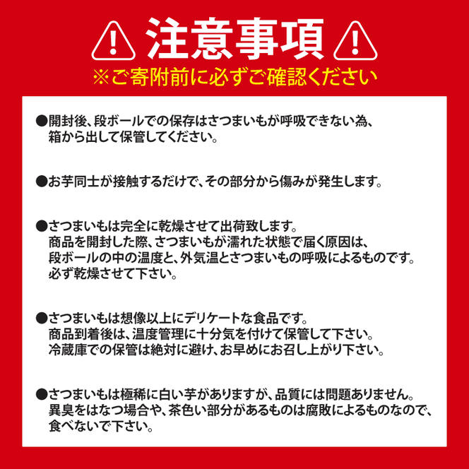 【10月中旬～11月末までの発送品！】【普通栽培】紅はるか 生さつまいも(8kg+約25%補償分)　計 約10kg【サツマイモ 芋 いも べにはるか 自然栽培 新鮮 焼き芋 煮物 天ぷら スイートポテト 鹿嶋市 茨城県】（KAG-42）