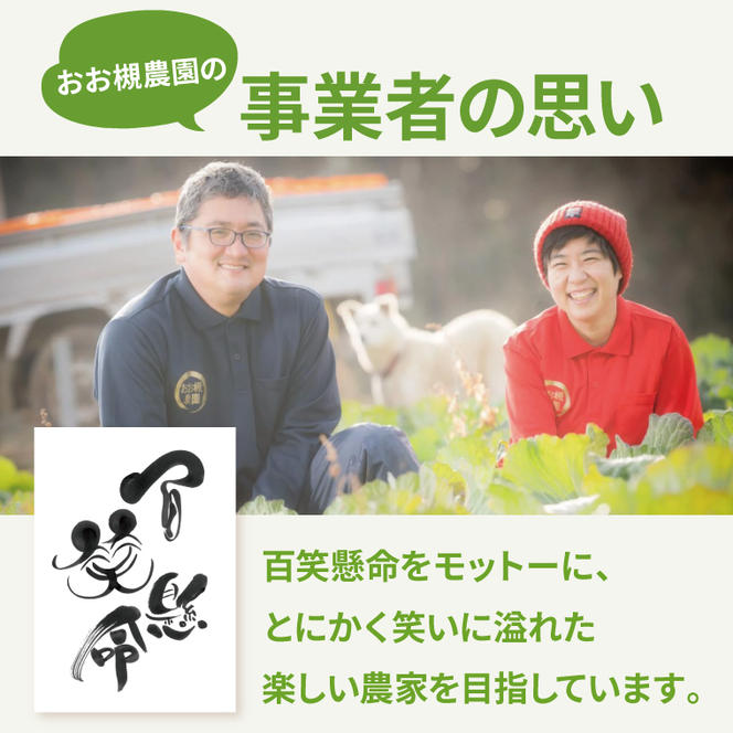 【10月中旬～11月末までの発送品！】【普通栽培】紅はるか 生さつまいも(8kg+約25%補償分)　計 約10kg【サツマイモ 芋 いも べにはるか 自然栽培 新鮮 焼き芋 煮物 天ぷら スイートポテト 鹿嶋市 茨城県】（KAG-42）