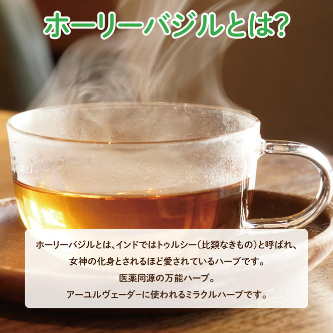 【奇跡のハーブ】 ホーリーバジルティー　ティーパック・急須用セット　計4個　お茶 紅茶 ハーブ バジル 爽やか リフレッシュ (CA010)