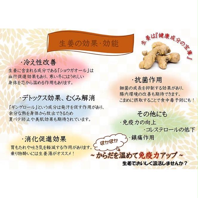 【定期便/2か月ごと/全5回】紀州金山寺漬黄金色の生姜入り（350g×2）