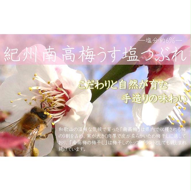 【定期便/2か月ごと/全5回】紀州南高梅うす塩つぶれ（塩分約6％）700g×2