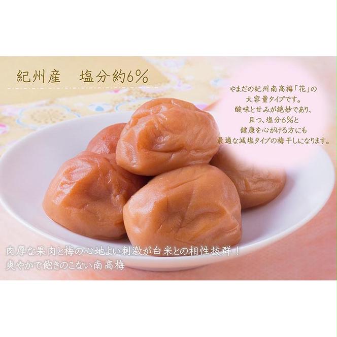 【定期便/2か月ごと/全5回】紀州南高梅うす塩つぶれ（塩分約6％）700g×2