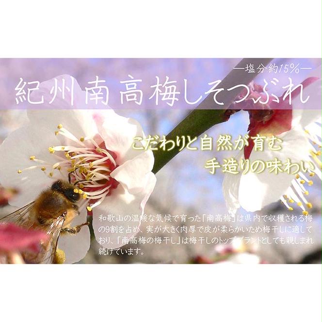 【定期便/2か月ごと/全5回】紀州南高梅しそ漬つぶれ（塩分約15％）700g×2