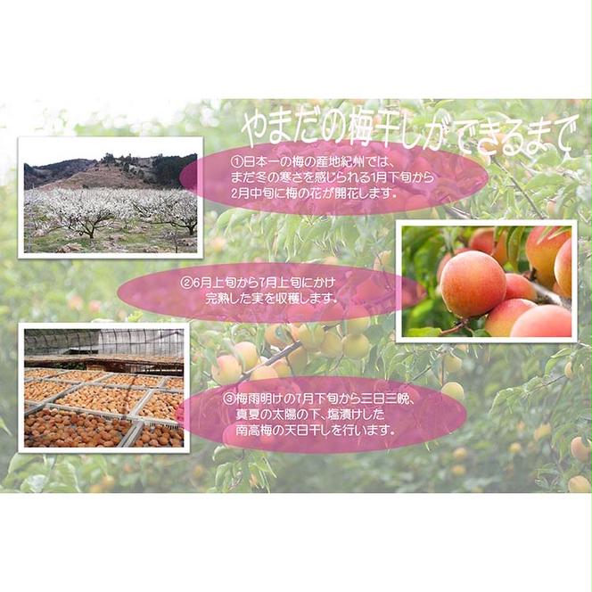 【定期便/3か月ごと/全3回】厳選紀州南高梅四種詰合せ