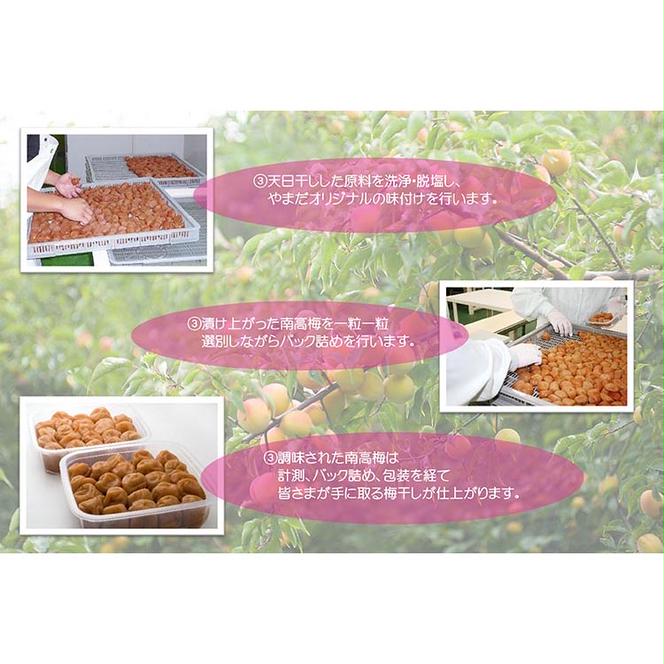 【定期便/3か月ごと/全3回】厳選紀州南高梅四種詰合せ