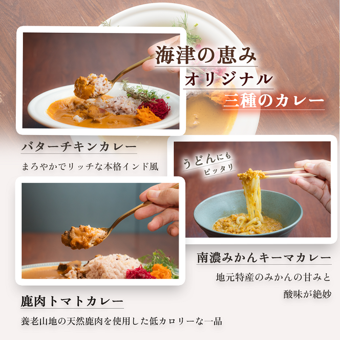 オリジナルご当地三種カレー詰め合わせ (南濃みかん・バターチキンカレー・鹿肉トマト) カレー ご当地カレー 詰め合わせ セット 岐阜 海津市