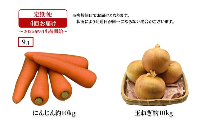 十勝幕別の定期便 秋野菜 年4回お届け 【お届け開始：2025年9月～】