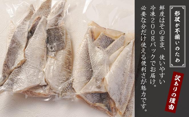 【訳アリ】淡路島産 スズキ切り落とし 1.2kg（200g×6パック）