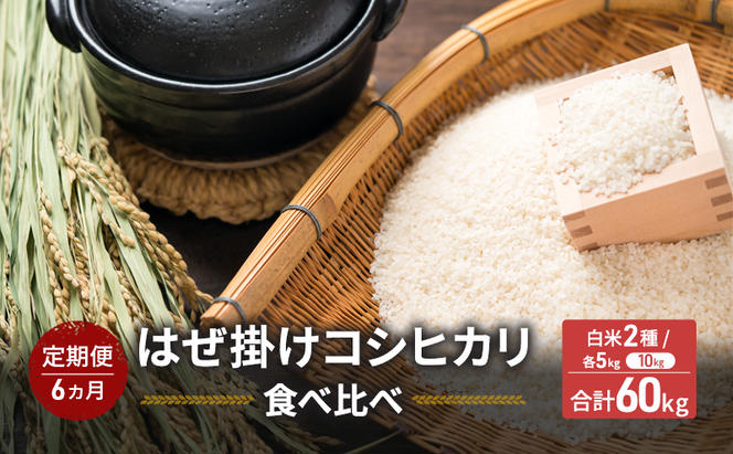 米 【6ヵ月定期便】　はぜ掛けコシヒカリ 食べ比べ 特A地区小諸市御牧ヶ原産コシヒカリ・A地区小諸市産コシヒカリ 【白米／各5kg】  こしひかり 精米 コメ お米 ごはん ご飯 信州 長野県 小諸市