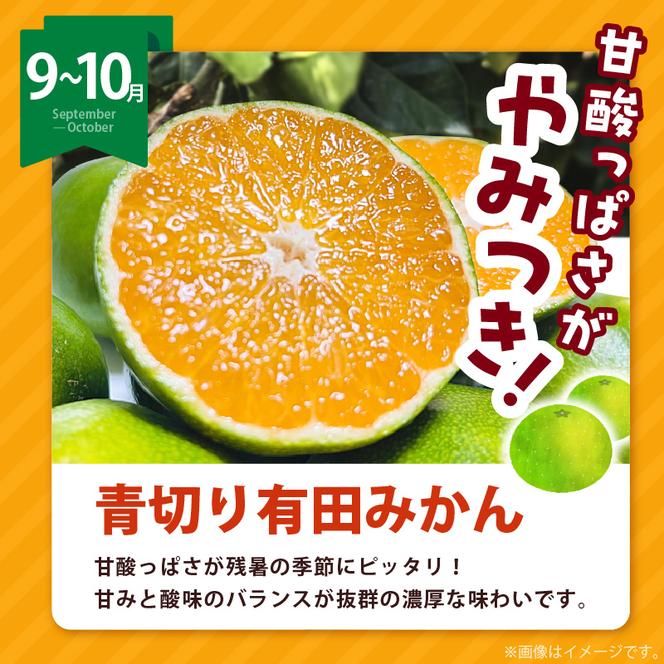 AB61-T09_【定期便4回】 旬 カンキツ 定期便 S 訳あり 家庭用 青切り有田みかん 完熟有田みかん 清見オレンジ カラマンダリン みかん オレンジ 新鮮 甘酸っぱい 甘み 酸味 バランス 濃厚 ノーワックス お取り寄せ お取り寄せフルーツ 和歌山県 湯浅町 送料無料 