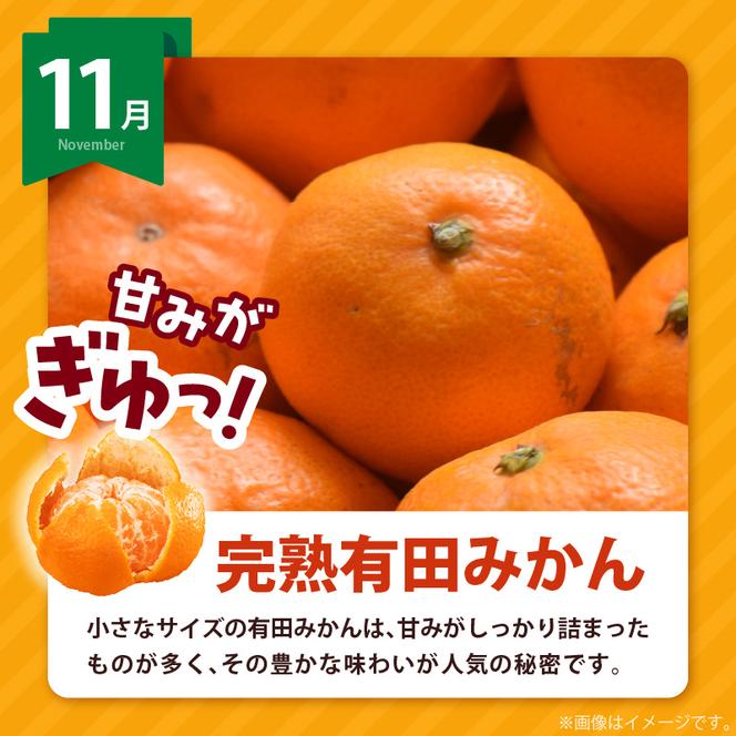 AB61-T09_【定期便4回】 旬 カンキツ 定期便 S 訳あり 家庭用 青切り有田みかん 完熟有田みかん 清見オレンジ カラマンダリン みかん オレンジ 新鮮 甘酸っぱい 甘み 酸味 バランス 濃厚 ノーワックス お取り寄せ お取り寄せフルーツ 和歌山県 湯浅町 送料無料 