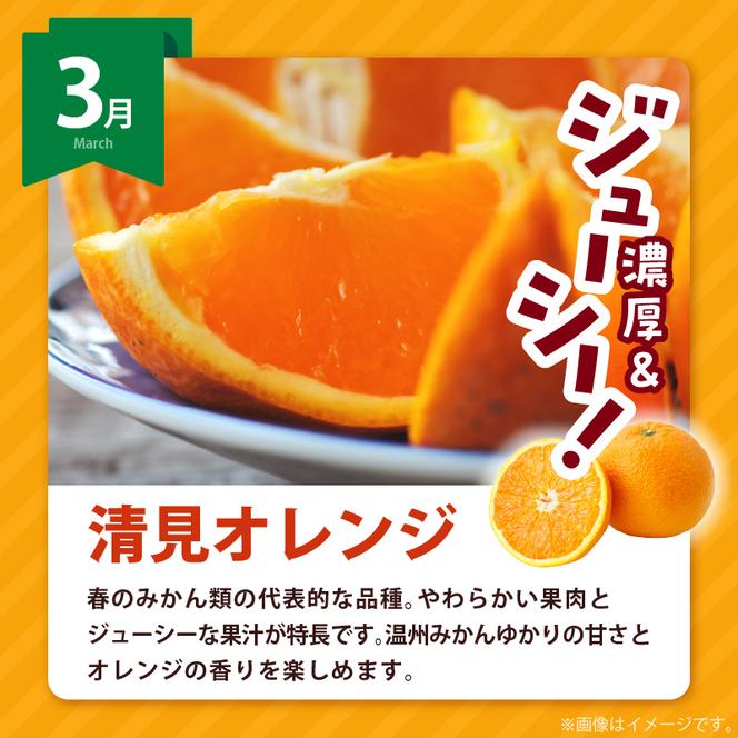 AB61-T09_【定期便4回】 旬 カンキツ 定期便 S 訳あり 家庭用 青切り有田みかん 完熟有田みかん 清見オレンジ カラマンダリン みかん オレンジ 新鮮 甘酸っぱい 甘み 酸味 バランス 濃厚 ノーワックス お取り寄せ お取り寄せフルーツ 和歌山県 湯浅町 送料無料 