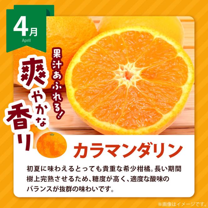 AB61-T09_【定期便4回】 旬 カンキツ 定期便 S 訳あり 家庭用 青切り有田みかん 完熟有田みかん 清見オレンジ カラマンダリン みかん オレンジ 新鮮 甘酸っぱい 甘み 酸味 バランス 濃厚 ノーワックス お取り寄せ お取り寄せフルーツ 和歌山県 湯浅町 送料無料 