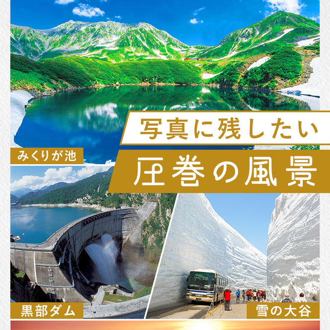 リピーター多数★ 宿泊券 山小屋含む宿泊施設 9,000円分 [富山 とやま 立山 たてやま 登山 山登り 山歩き トレッキング アルペンルート 商品券 チケット 宿 宿泊 温泉 旅行 旅 観光 9000 9000円 富山県 立山町 F6T-070