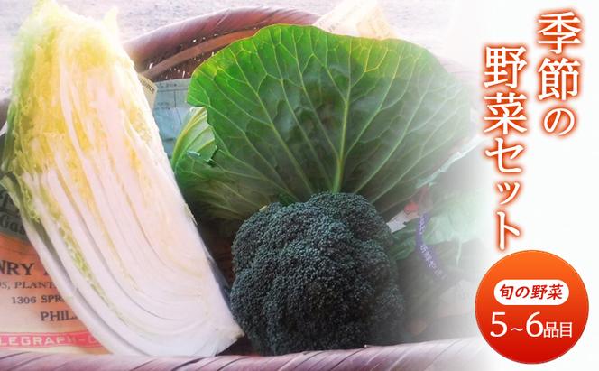 野菜 季節の野菜セット 季節 冬 旬 野菜セット 福岡県 朝倉市