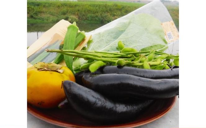 野菜 季節の野菜セット 季節 冬 旬 野菜セット 福岡県 朝倉市