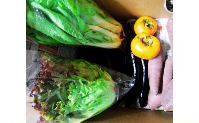 野菜 季節の野菜セット 季節 冬 旬 野菜セット 福岡県 朝倉市