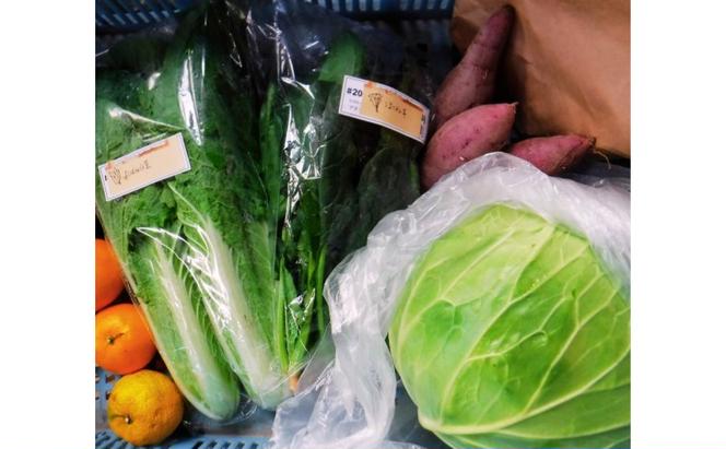 野菜 季節の野菜セット 季節 冬 旬 野菜セット 福岡県 朝倉市