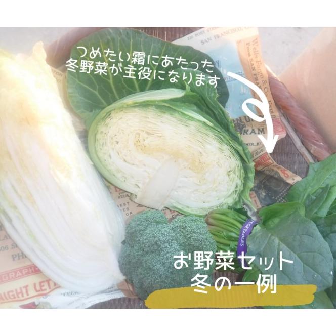 野菜 季節の野菜セット 季節 冬 旬 野菜セット 福岡県 朝倉市