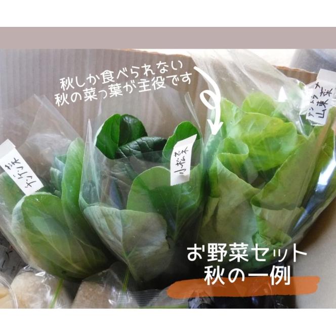 野菜 季節の野菜セット 季節 冬 旬 野菜セット 福岡県 朝倉市
