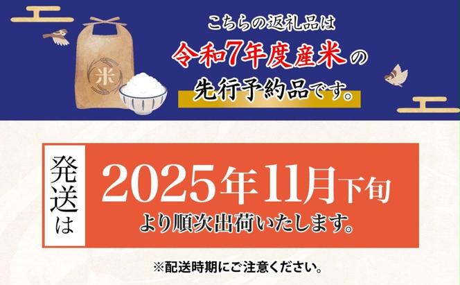 ＜先行予約＞令和7年産 はつしも 精米 10kg×1袋 低農薬 清流育ち 新米 お米 白米 米 ごはん ご飯 ハツシモ R7年産 ブランド米 産地直送 送料無料 美濃グリーン 岐阜県 美濃市 ■2025年11月下旬より順次発送