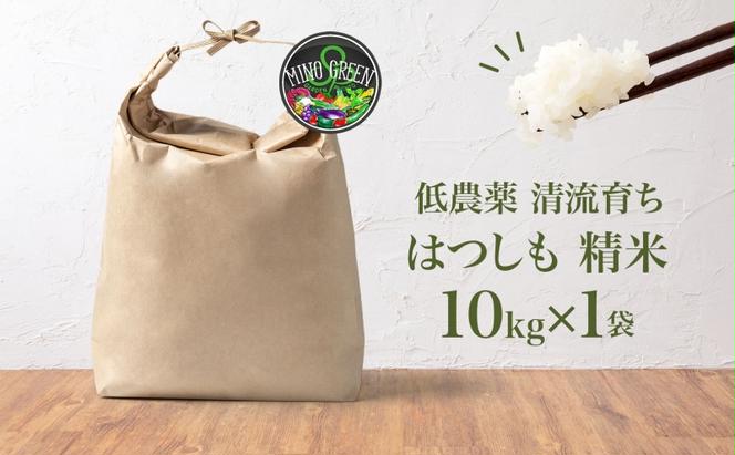 ＜先行予約＞令和7年産 はつしも 精米 10kg×1袋 低農薬 清流育ち 新米 お米 白米 米 ごはん ご飯 ハツシモ R7年産 ブランド米 産地直送 送料無料 美濃グリーン 岐阜県 美濃市 ■2025年11月下旬より順次発送