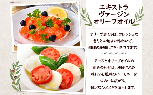 【ふるさと納税】3ヶ月定期便 フレッシュチーズ 2種 オリーブオイル セット モッツァレラ 100g 2個 ブッラータ 160g 1個 オリーブオイル 100ml チーズ おつまみ 送料無料 神奈川県 茅ヶ崎市