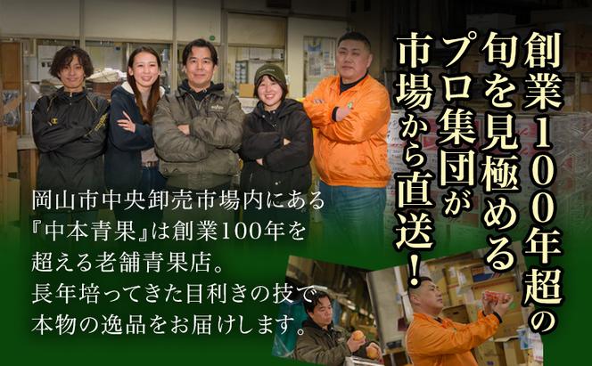ぶどう 2025年 先行予約 ニュー ピオーネ 4房（1房480g以上）約2kg ブドウ 葡萄 岡山県産 国産 フルーツ 果物 ギフト 