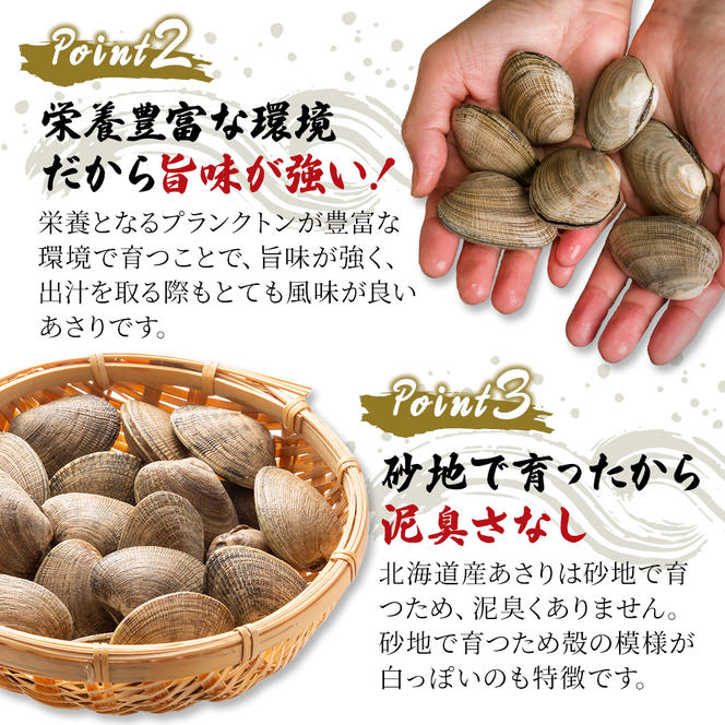 12ヵ月 定期便 北海道産 冷凍ボイル あさり 180g×5パック （各月900g、合計10.8kg） 魚貝類 海鮮 海の幸 旨味 簡単 便利 食材