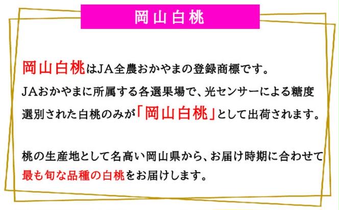 桃 2025年 先行予約 岡山 白桃 エース 3玉×200g（Lサイズ） 岡山県産 JAおかやまのもも  モモ 岡山県産 国産 フルーツ 果物 ギフト