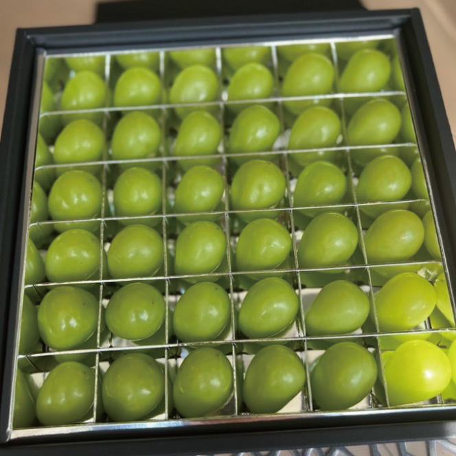 【先行予約】粒々ぶどう シャインマスカット36粒（茨城県共通返礼品：かすみがうら市産）　※2025年8月初旬～2026年1月下旬頃に順次発送予定（CD054）