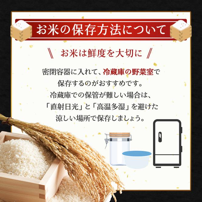 5ヵ月 定期便 ホクレン北海道ななつぼし（無洗米5kg） お米  米 ごはん 無洗米 白米 国産 北海道 こめ コメ 5回 [JA新おたる]