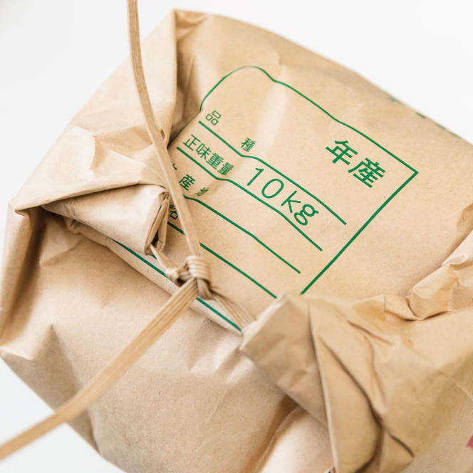 【先行予約】【定期便】コシヒカリ10kg×6回　鹿嶋市産【こしひかり 茨城県 鹿嶋市 145000円以内】（KDS-11）
