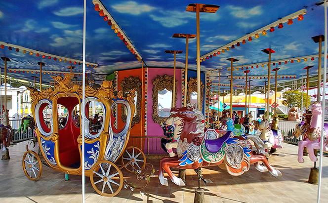 チケット 遊園地乗物券10枚綴り 手取フィッシュランド 遊園地 体験ギフト 家族 石川県 能美市　