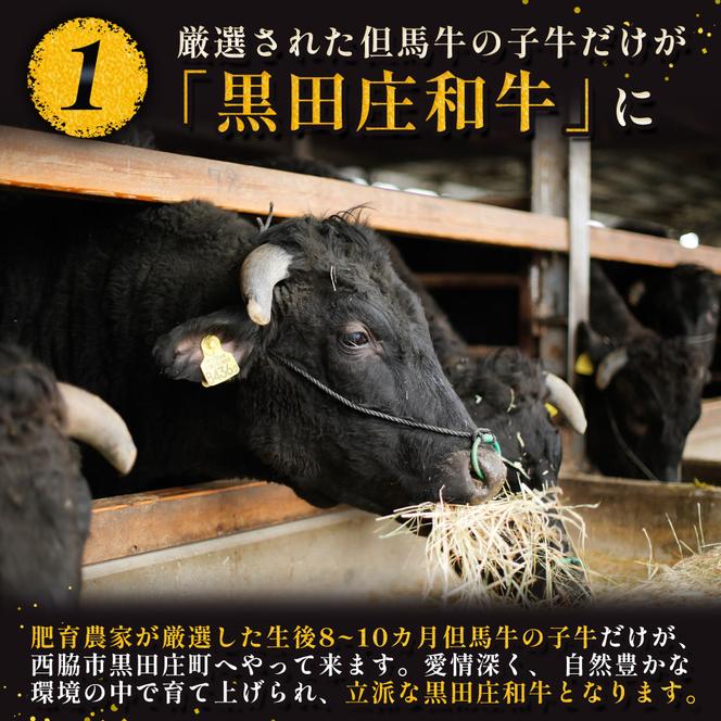 【最短7営業日発送】【神戸ビーフ素牛】特選 黒田庄和牛（焼肉用ロース：500g）(30-7)